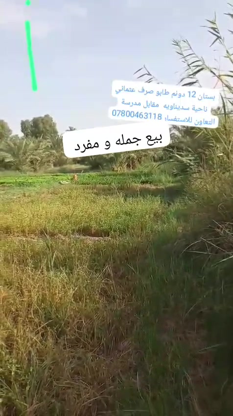 سديناويه • أرض • ١٢م