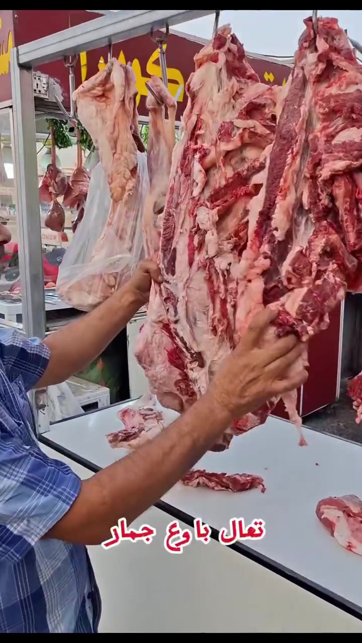 عموسامي • انماركوبرا • توصيل