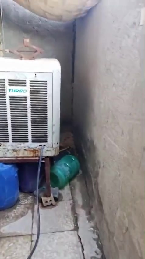 بيت • سيطره الشعب القديمه • ٥٥م