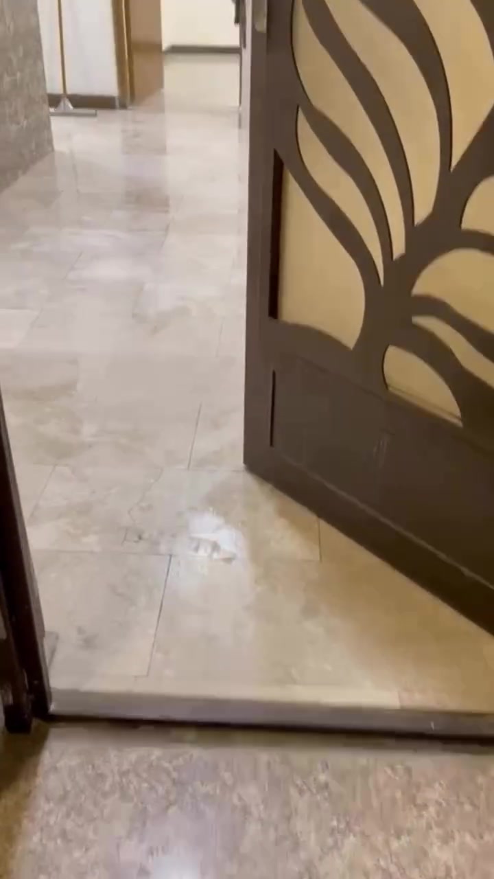 🔥تحية طيبة 

🏡 شقة للإيجار – اليرموك / المأمون

🏢 الطابق الأول – بناية شبه تجارية
📐 المساحة: 110م²
✨ معزولة بالكامل – مدخلان مستقلان
🛋️ صالة 🍽️ مطبخ
🛏️ غرفتا نوم 🚿 حمام
🌅 بالكونة مطلة على الشارع
✅ تصلح للسكن العائلي، الشركات، أو سكن الطلاب.
💰 الإيجار الشهري: 850$ دولار

🔎 رمز العقار: 477
📱اتصال ***********
💬 واتساب: ***********
✨ نستقبل جميع عروض البيع والإيجار 
للعقارات السكنية والتجارية.
رابط قناة الواتساب 
https://whatsapp.com/channel/0029Vb7Uz8yDp2Q3t1cIWg30
#شقق #للايجار #اليرموك #شقةللإيجار #شقق_عوائل_للايجار
