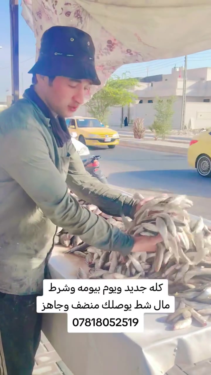 توصيل • كل الأحياء • السماوه