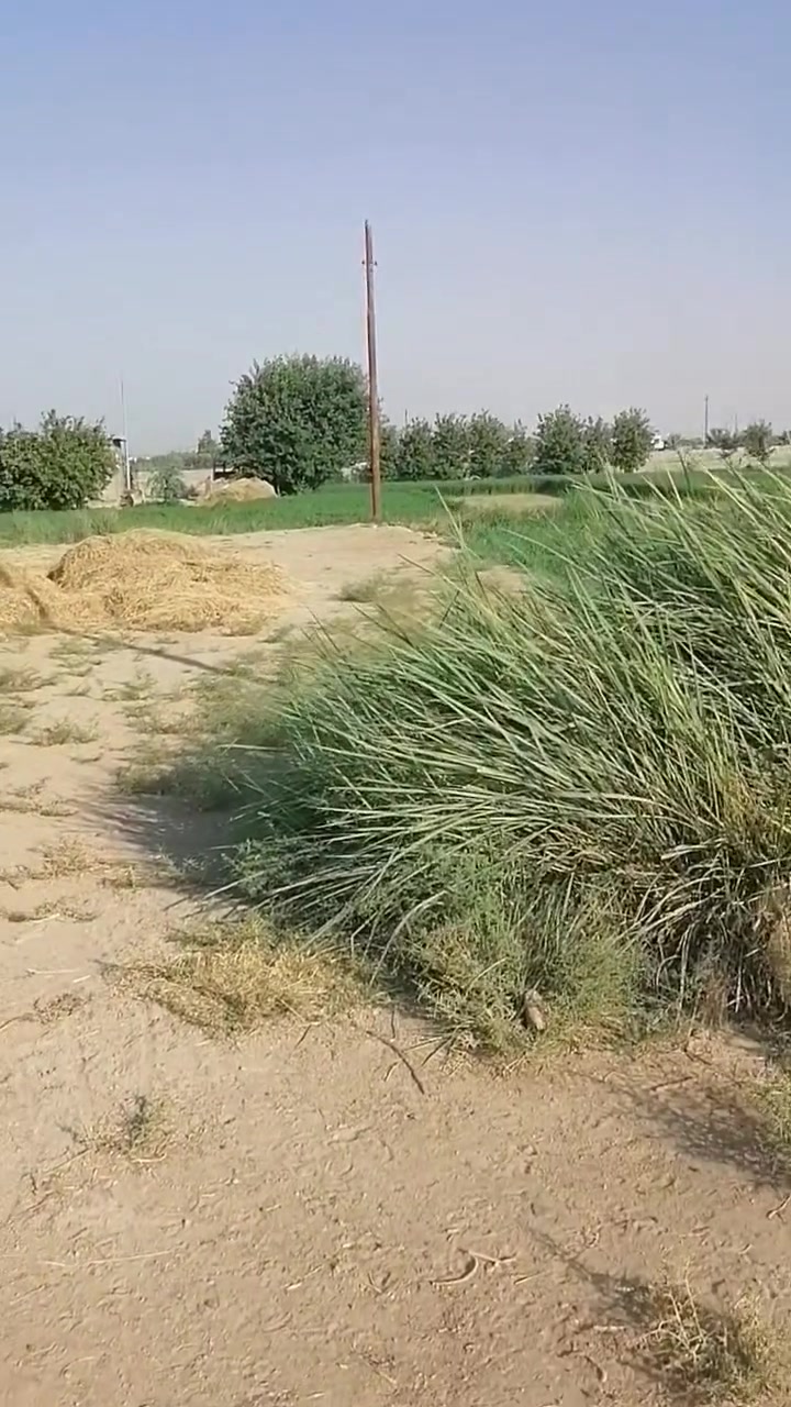 قطعة ارض للبيع على طريق الطابور قرب بيت معن فاضل السعر 28وبيها مجال الطول 30والعرض15مدفونه ومحدوله
للاستفسار الاتصال على الرقم ***********
قطعة ارض 450م للبيع على طريق الطابور قرب بيت معن فاضل السعر 27وبيها مجال نزال 30والعرض15مدفونه ومحدوله
