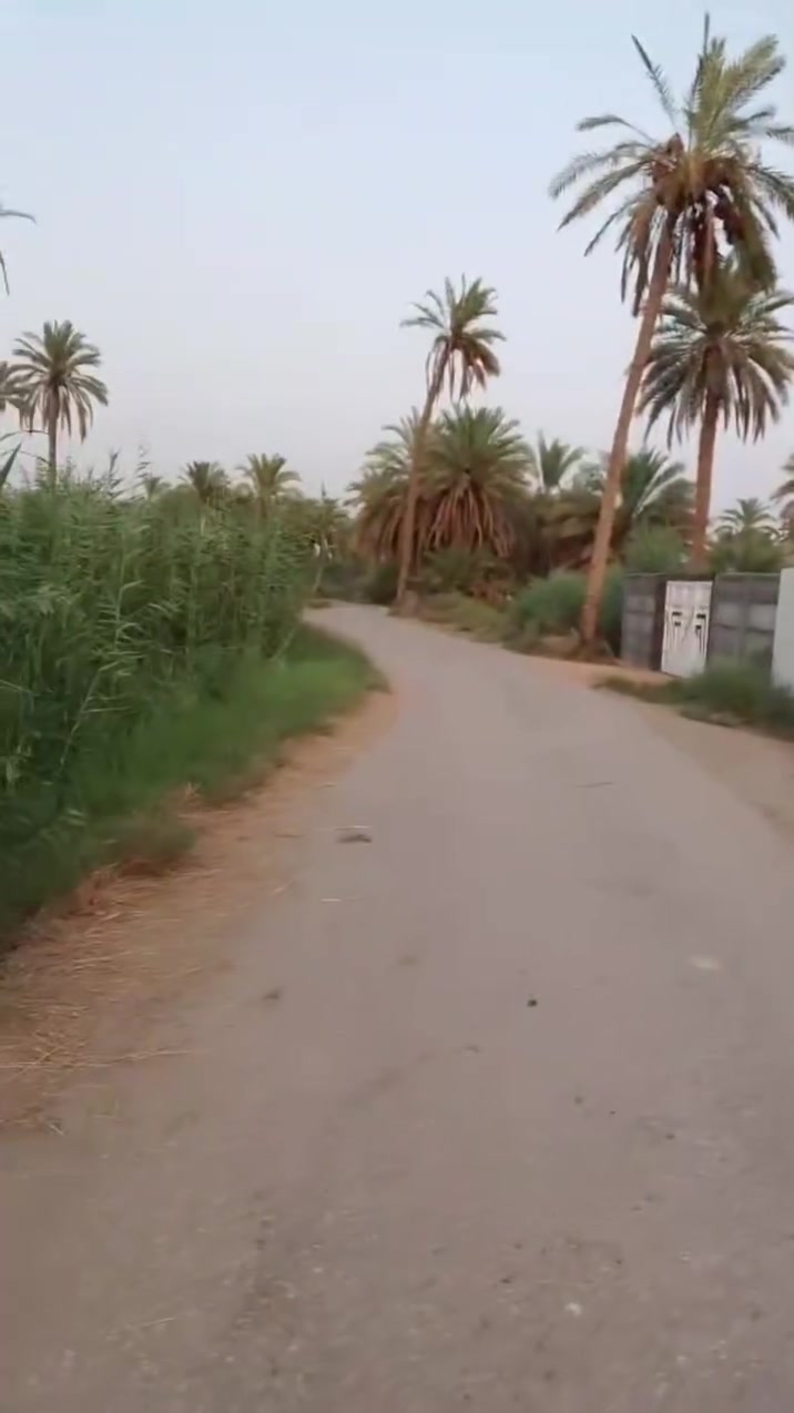 مسيجة • طابو زراعي سند ٢٥ • ٢٥٠٠م٢
