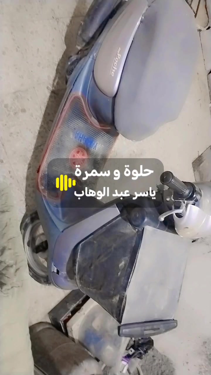 منغولي • ٢٠٠٣ • مكفوله
