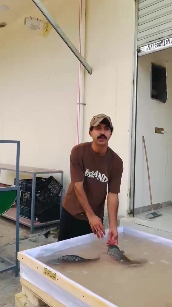 اللهم صل على محمد وال محمد
السلام عليكم اهلنا وناسنا أهل الدغاره 
اليوم نشالله بصطنا على باب الله 
سعر كيلو السمك العدل 5000دينار🐟
سعر كيلو السمك المشوي على الحطب+مقبلات 6000
دينار🔥🐟
سمك مشوي مع التمن الاحمر+مقبلات 7000دينار🔥🐟
نفر سمك مقلي مع التمن الاحمر+مقبلات 5000 دينار🔥
العنوان دغاره حي شهداء مقابيل مدرسه 14تموز
زورونا وبخدمتكم
توصيل مجاني داخل دغاره رقم التوصيل ***********
