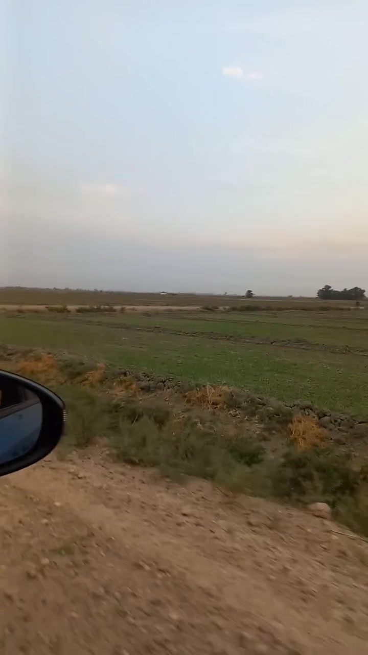 سند ٢٥ • ٨ دونم • منطقة الشيخ عامر