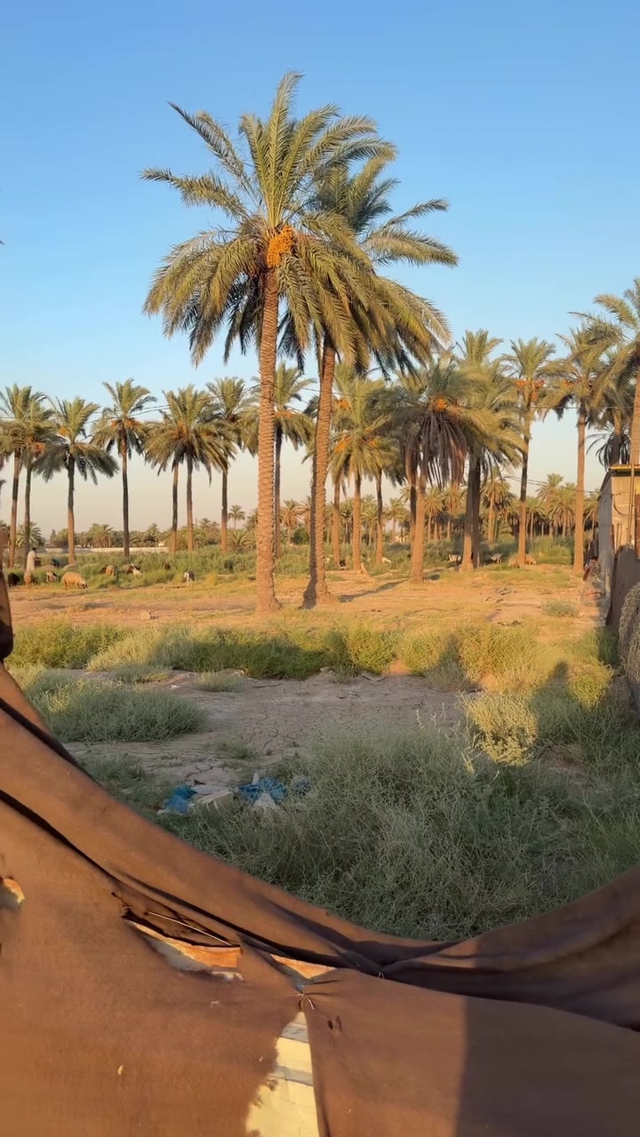 اللهم صلي على محمد وال محمد
فطع ارض طابو زراعي سند ٢٥
نحويل مباشر ثاني يوم من طابو المحمودية منطقة هور رجب مكان الارض جداً مميز

مساحه الارض : نص دونم واجهة ١V
بسعر مناسب
الاتصال ***********
