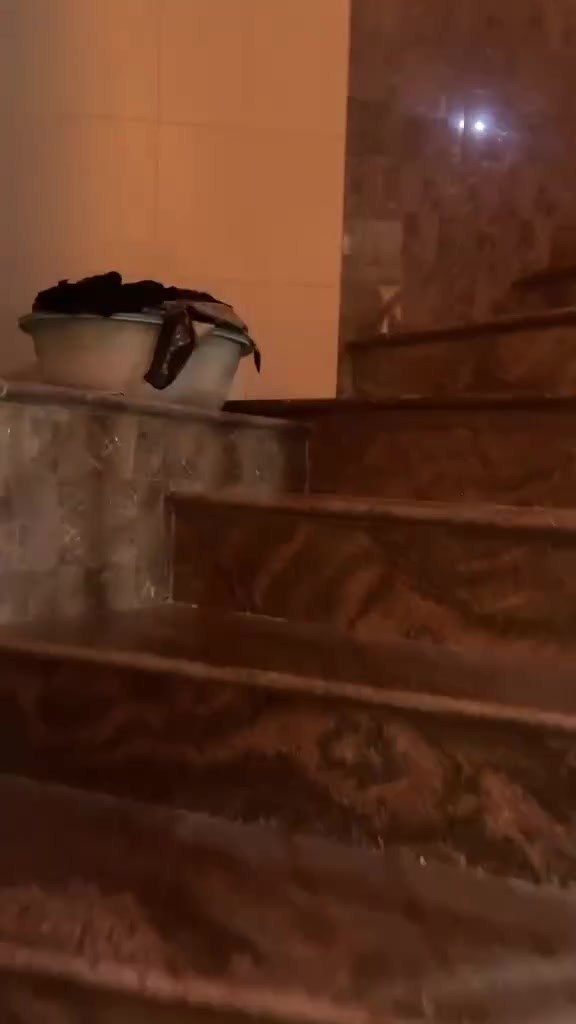 بيت لبيع مساحه
١٥٠م
ماجهه ٧ونص
نزال ٢٠ م
بناء سنه ٢٠٢٠
٣نوم 
٣ حمامات
معملجي 
خلف مدارس الكفيل
طريق الحر
سعر ٢٦٠ طابو زراعي
