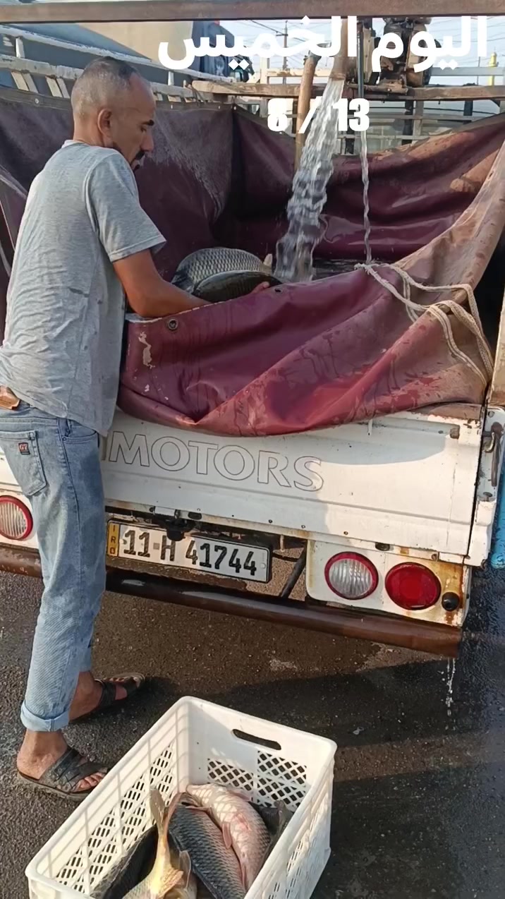 من مسگوف عمر التركي متوفر سمك حي بدون شوي ب 5 ونص فقط و مع  الشوي ب 6 ونص فقط العنوان القيارة بالقرب من جامع الرمانة مجاور مرطبات نوتيلا *********** // ***********
