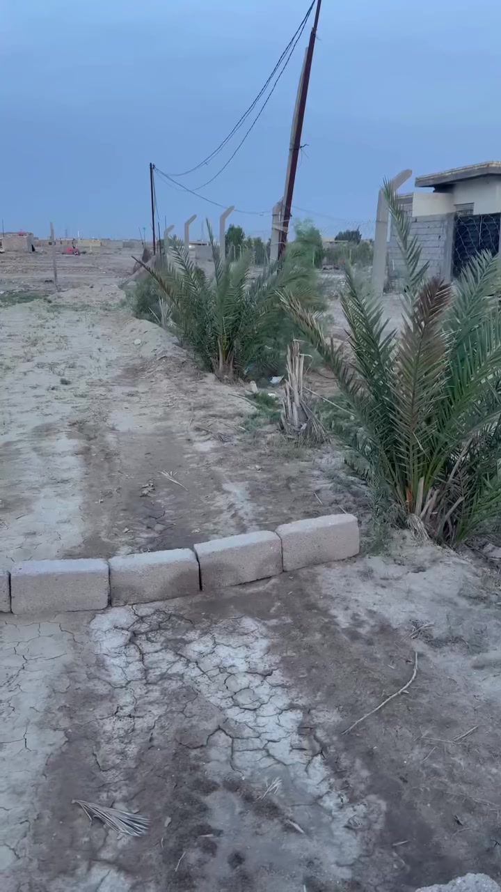 السلام عليكم..
توجد قطع زراعيه نهايه شارع ابو كميل بسعر مناسب مساحه القطعه الواحده 200 متر بيهن وصولات تطويب رسميه وماء وكهرباء وسكن ...مسيجات بي ار سي ومزروعات نخل ...

للتواصل ع الخاص او الرقم ***********
