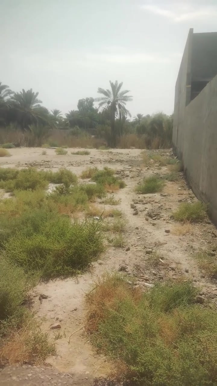 البوبيات كربلاء • ٣٠٠م • للبيع