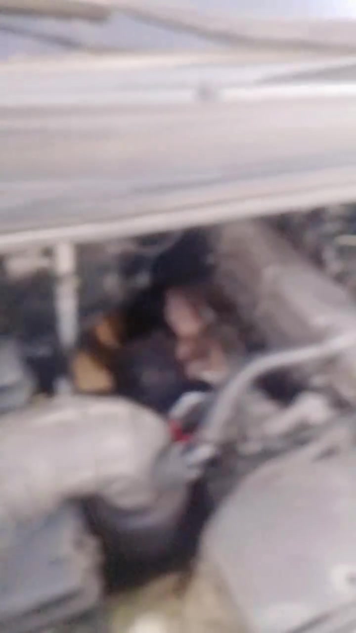المهناويه ***********
