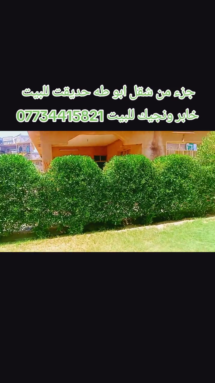 موطور سجر نشتغل بدينه خابر ونجيك للبيت *********** ابو طه
