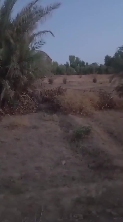 هيت بنان • ٣٥٠٠م • عقد زراعي