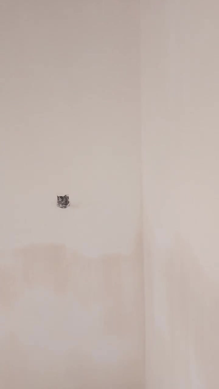 لبخ • متفرغ • سمنت وجص