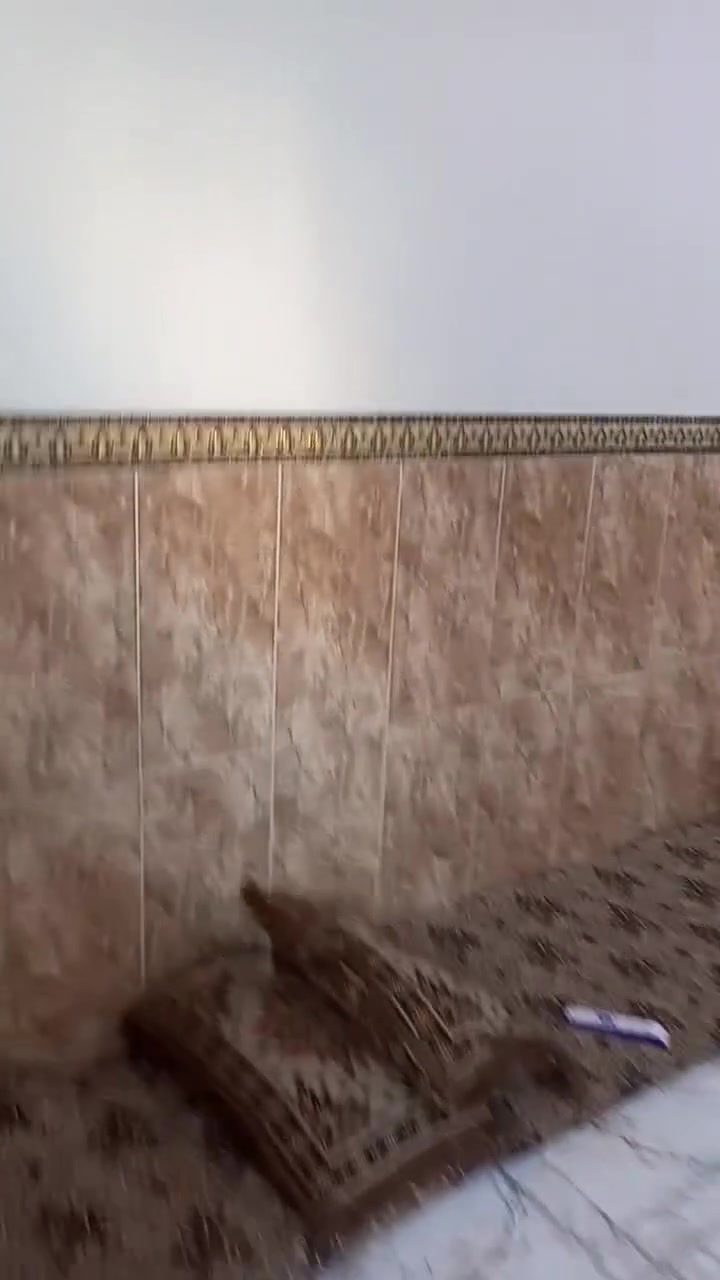 السلام عليكم مشتمل الجغيفي الثانيه قرب جامع الذكر الحكيم وقريب عليه المدارس الابتدائيه بنات وولد وثانوية بنات  المساحه 125 متر طابو زراعي ارض بجر مو دفن طابقين بناء بلوك الارضي كامل والطابق الثاني  عظم المشتمل سند بسمي الواجهه 6 وربع و النزال  20  الشارع 10 ومقابيله ماكو بيت هم شارع عشره نافذ ع شارع 12 مكانه مميز  داخل البيت حزام سيراميك و الارضية  هم سيراميك برهم بيع وهم يرهم مراوس السعر 75 قابل للتفاوض  ادخل وشوف للتفاصيل اكثر ع الخاص والا رقام التاليه *********** و ***********
