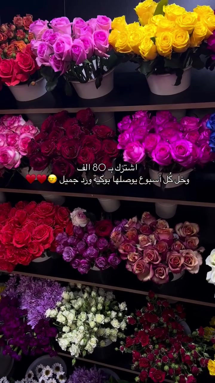 هدايا • توصيل • زين كاش