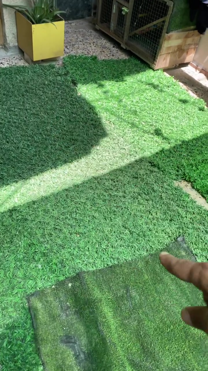 مكان غزاليه
سعر شلع ٤٠ الف

‭***********‬
