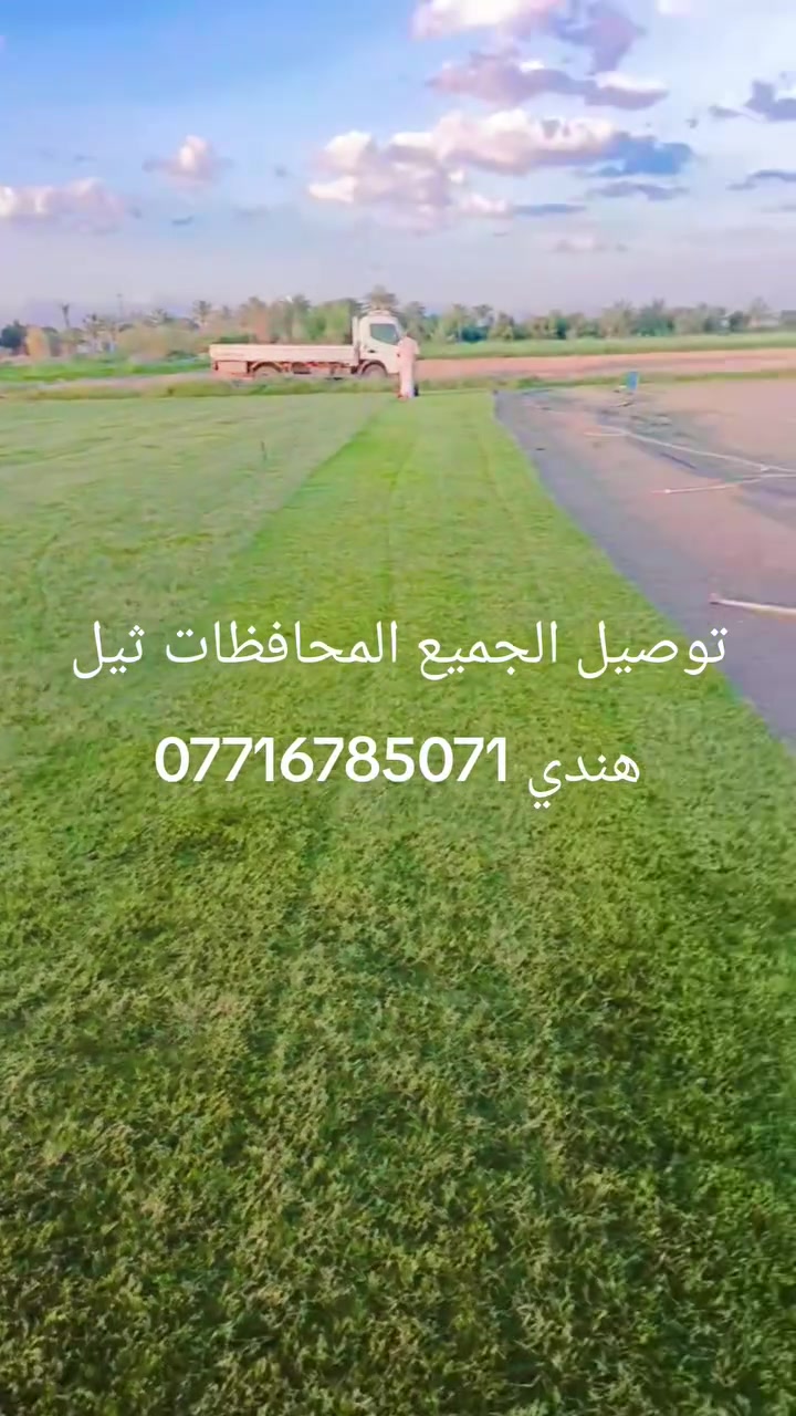 بسم الله الرحمن الرحيم
والحمد لله رب العالمين

🔹 مستعدون لتجهيز كافة الدور السكنية

🔹 وكافة الدوائر والمؤسسات الحكومية

🌱 بأجود أنواع الثيل الطبيعي المستورد وبأفضل الأسعار 🌱

نوفر لكم الأنواع التالية:

✅ ثيل فرنسي

✅ ثيل إيطالي

✅ ثيل هندي

✅ ثيل أمريكي

✔ جودة عالية

✔ تركيب بإشراف مختصين

✔ سرعة في الإنجاز

✔ أسعار تنافسية

📞 للحجز و الاستفسار

***********

🌿 نهتم بجمال مساحتك الخضراء… لأن ذوقك يهمنا 🌿
