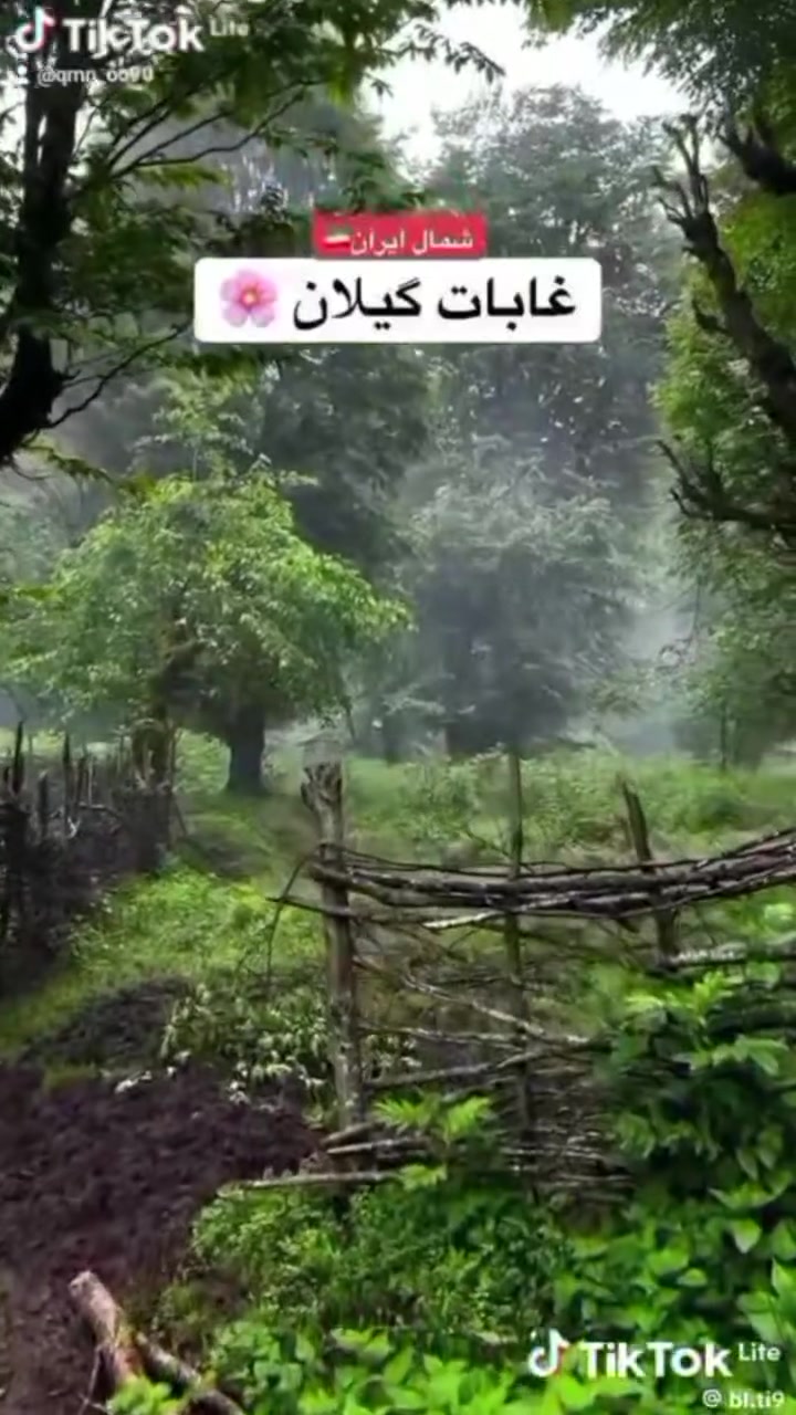 موعدكم مع كروب شركتنا يوم 12/8 قم ومشهد وشمال ايران 14يوم وبسعر 275الف دينار وقم مشهد 11يوم 175 الف دينار باصات ايرانيه vip25راكب احجزو مقاعدكم للأستفسار الاتصال *********** بابل الحمزة الغربي ع ش اريج الشرق..
