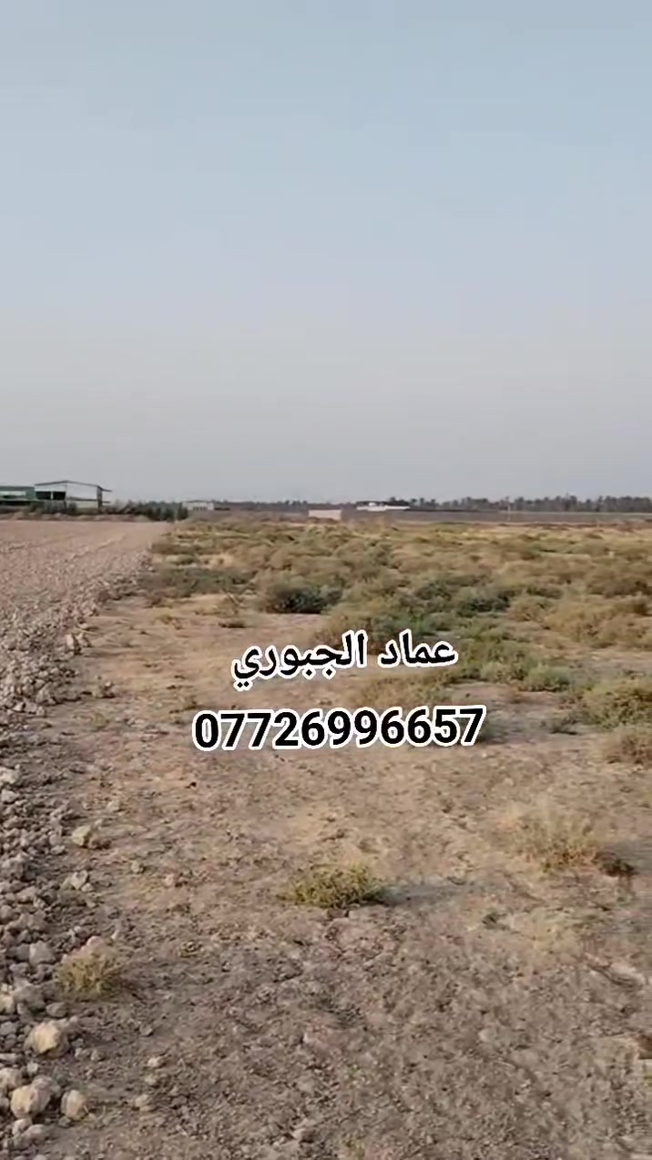 ٩٧ دونم • القمانية ديالى • مزارع شاليهات