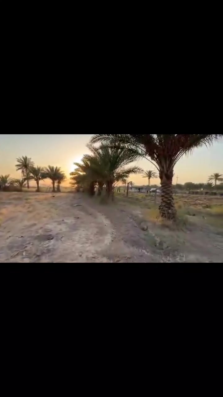 دونم و٤٠٠م • سند ٢٥ • قرب جامعه بابل