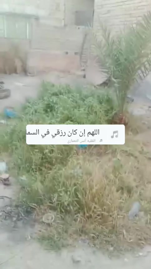 نص قطعة • حي الفداء • مشتمل