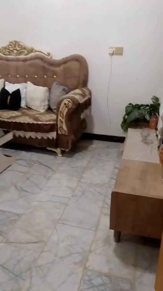 سلام عليكم تخم ل بيع نضيف سعر 225 بي مجال *********** بي وتساب
