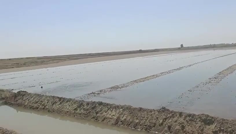تعديل كافه الاراضي الزاعيه في تقنيه الجهاز   J  B S. ديالى. تواصل رقم ***********
