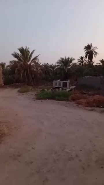 قطع أرض للبيع الفظليه خلف البانزين خانه 
مساحه 500 
***********
