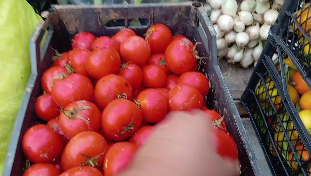 طماطه • خضار وفواكه • علوة القريه