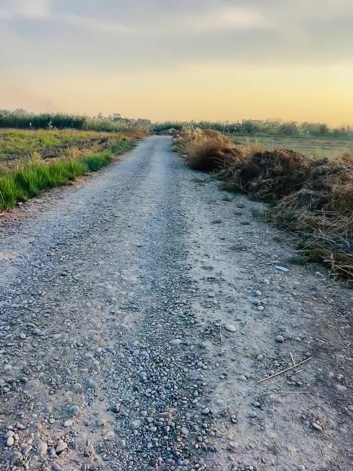 نص دونم • العلم • قرب مسجد الصخيل