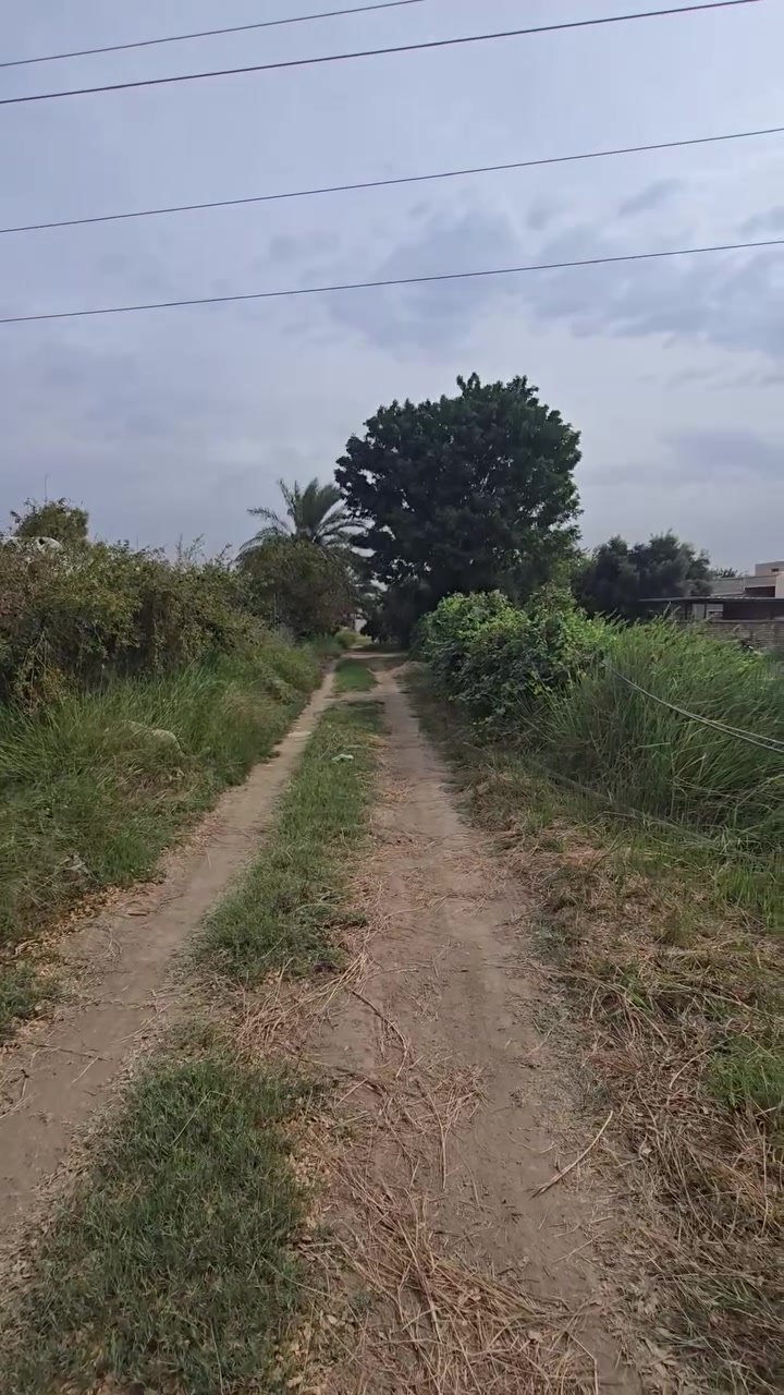 بيت ملك • ٦٠٠م • ٤ غرف