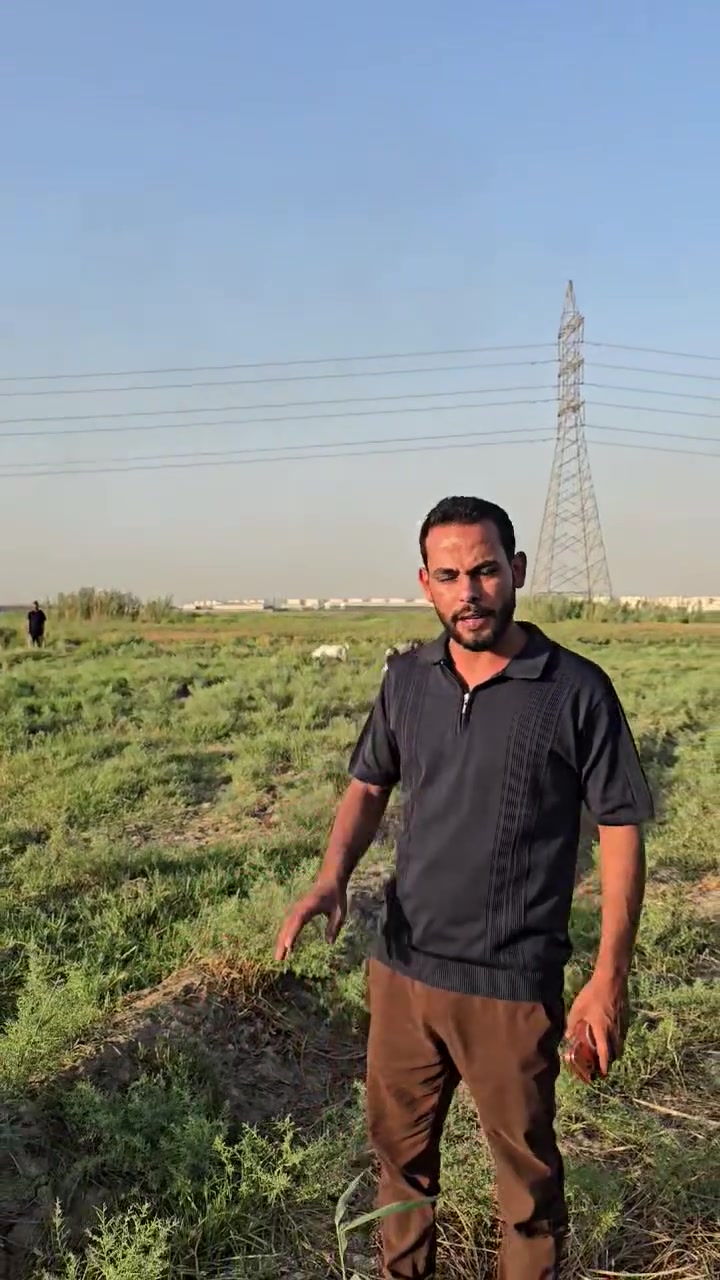 السلام عليكم ورحمة الله وبركاته
أرض للبيع دونم وربع. الوجه 19 مع النزال. مقابل بسمايه بغداد المدائن . سعرهه مناسب جدا اتصل الاستفسار أكثر   ***********   أبو عيسى
