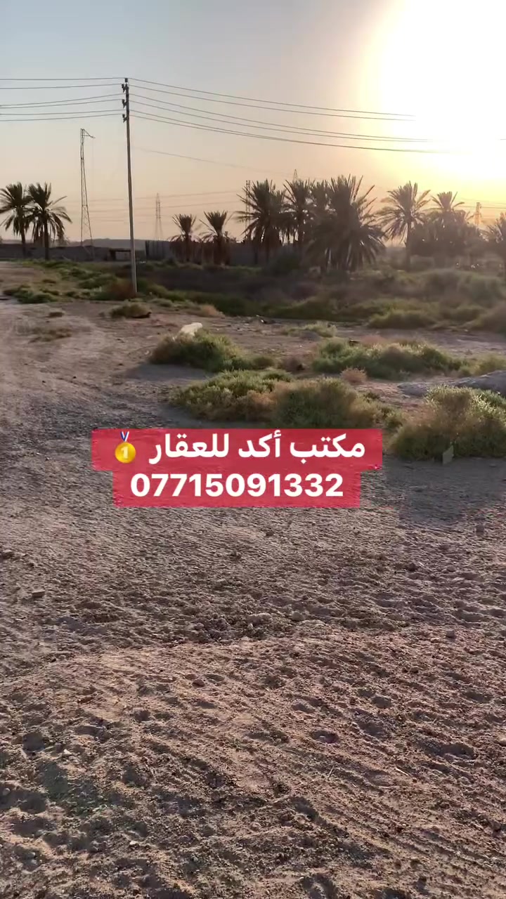 ١٢٤٥م • طابو زراعي • الفلوجة-الصقلاوية