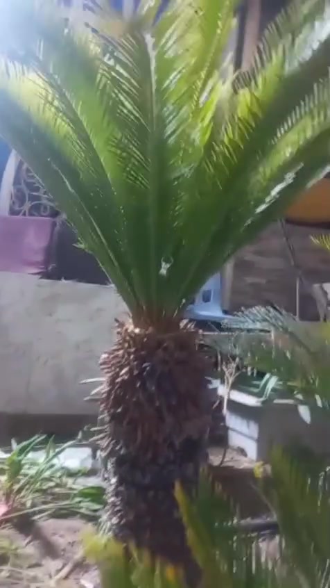 للبيع سايكس ب175 عنواني بغداد جديدة ***********
