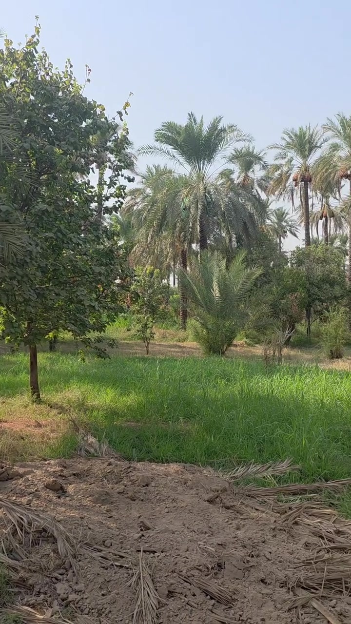 سلام عليكم ارض للبيع المساحة دونم واجهة 60 خدمات كاملة المدائن منطقة الجعارة للستفسار ***********
