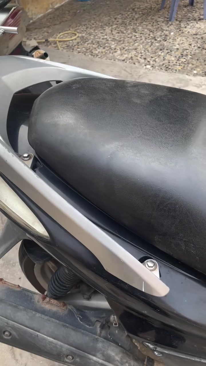 سكنس فحل • نفخ • مكفوله