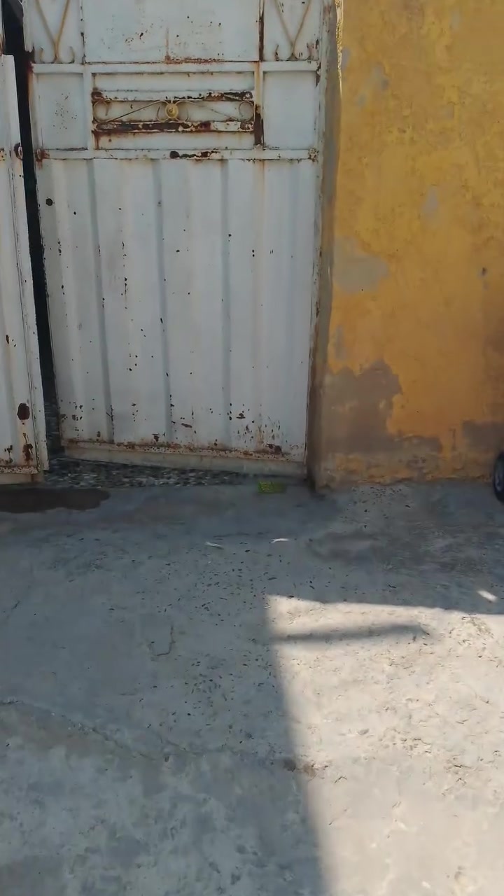 البيع بيت تجاوز العبيدي قريب رائد ابو الانشائيه
رقم الهاتف *********** الاستفسار تصال برقم
