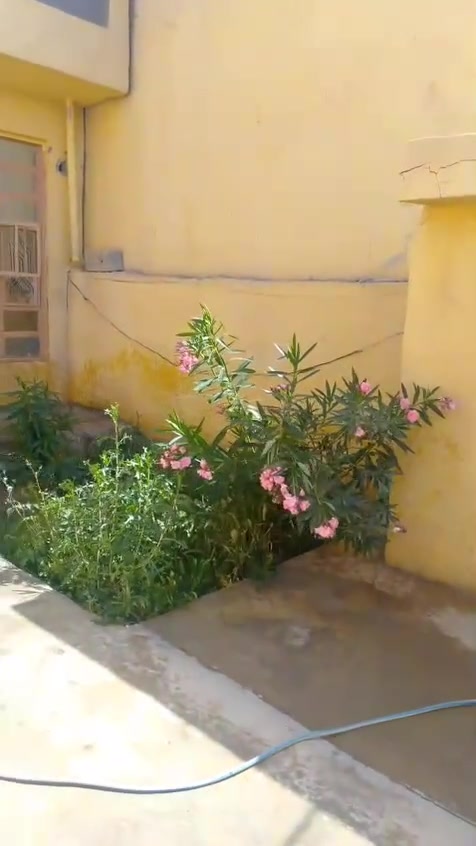 السلام عليكم 
بيت للبيع مساحه 150 البيت الرادله ترتيبات لان متروك حوالي صار له سبعه اشهر مقابيل المنتزه وراء عصفوريه البيت طاب وصرف باسمي الشراي يتصل هذا رقمي واتساب***********سعر 60 وبي مجال قليل
