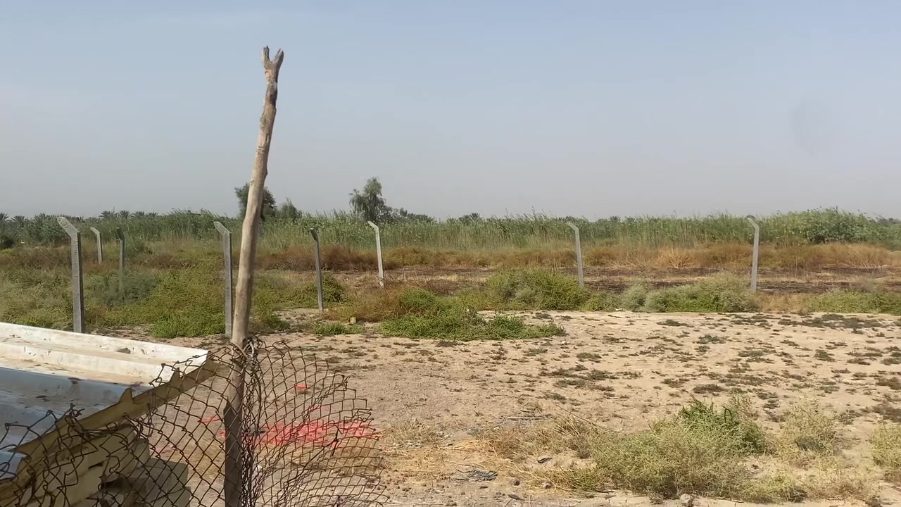 المعاره مشيمش • ٤٨٠م • سند ٢٥
