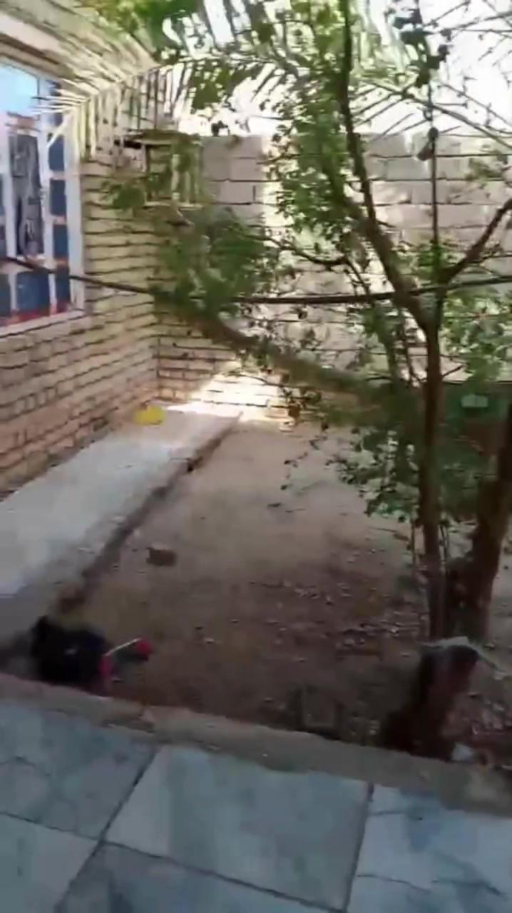 ناصريه • ٢٠٠م • منطقة ٣٠٠٠