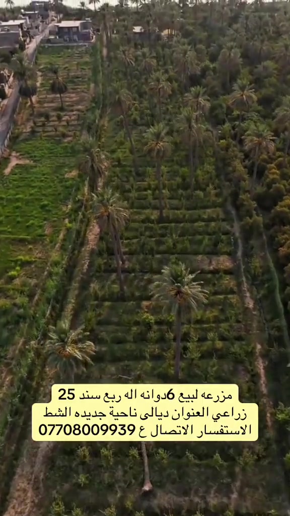 أرض • ديالى • ٦٢٥م