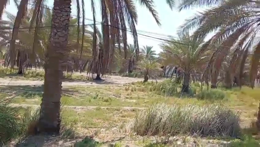 قطعة ارض للبيع ١٥٠٠ متر (طابو زراعي) محاطة بشارعين تبليط الشارع عرضه ٩ متر القطعة متوفر فيها كافة الخدمات كهرباء وماء اسالة وماء سقي، القطعة قريبة على الشارع العام جدا،( شارع كربلاء) القطعة تصلح لأي شي سكن او حسينية او مخازن . 
مكان القطعة شارع بغداد كربلاء عامود ٦٦٣
سعر القطعة ٢٠٠ مليون
للاستفسار ***********
