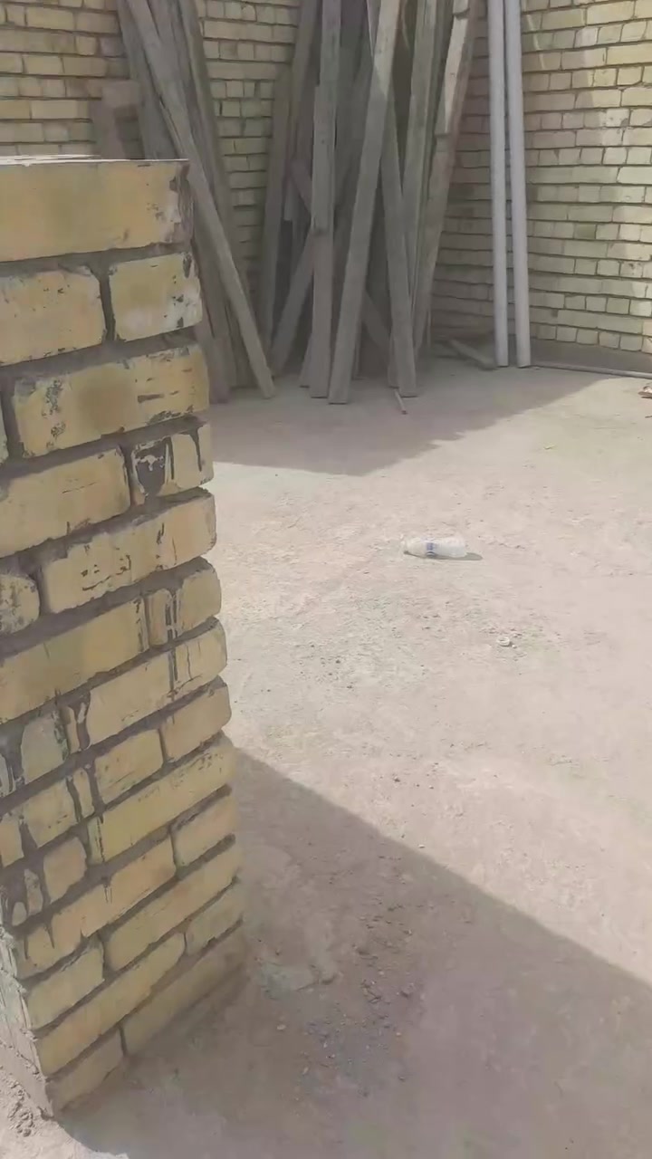 الضباط الثانيه • ١٥٠م • هيكل