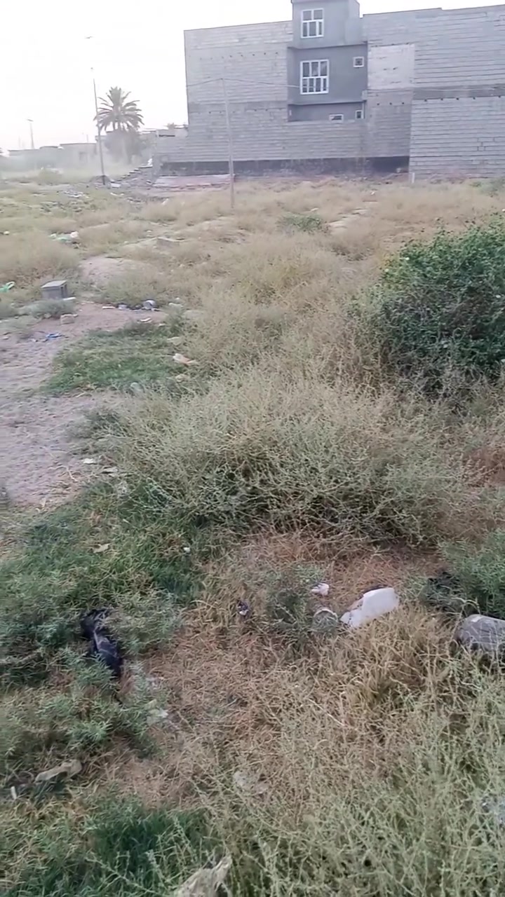 قطعة ارض 100م مربع ركن داخلي رقم القطعة /12399مقاطعه 39/(السعر 33)وقابله التفاوض  رقم الهاتف ***********
