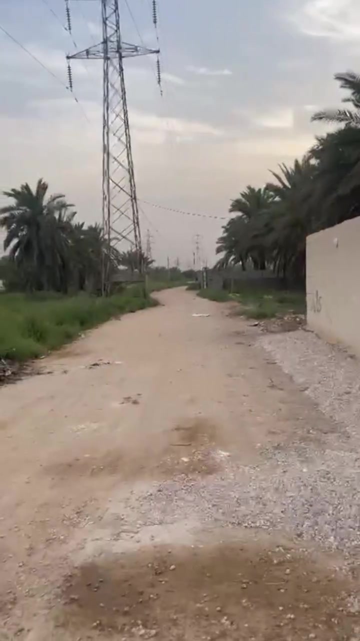 قطعة أرض للبيع مساحة 500 متر واجه 16 متر طابو سند 25 (تحويل إقرار محكمة بإسم المشتري) متوفرة كافة الخدمات/ الموقع كربلاء - شارع طويريج كربلاء منطقة العامرية عمود 207  تبعد عن شارع طويريج كربلاء 500 متر تبعد عن مركز مدينة كربلاء 8 كيلو 📞تصلح للسكن أو منتجع ترفيهي/🏢*********** /*********** سعر 65 مليون وبيها مجال للشراي الراوس بسياره /
