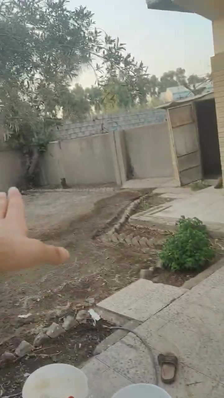 🏡 للإيجار السكني في منطقة الأندلس الراقية

السلام عليكم ورحمة الله وبركاته 🌹

📍 متوفر دار للإيجار في منطقة متميزة خلف مجمع آدم، بموقع هادئ وراقي ومناسب للسكن.

📐 مساحة الدار: 235 متر

✨ الدار بناء قديم، لكن تم تهيئته وتجهيزه ليكون مريحًا وجاهزًا للسكن، حيث تم:
• صبغ الدار بالكامل 🎨
• تنظيف الدار بالكامل ✨
• معالجة وتجهيز كهربائيات البيت ⚡

🏠 يتكون الدار من:
• 3 غرف نوم 🛏️
• استقبال كبير جدًا، يمكن استخدامه كاستقبال واسع أو تقسيمه إلى غرفة + استقبال
• حديقة 🌿
• جاراج 🚗
• صحيات للطابقين
• سطحين للبيت: سطح عالي وسطح منخفض
• غرفة واسعة في السطح تصلح كمخزن أو للاستفادة منها حسب الحاجة

👨‍👩‍👧 مناسب لـ:
✅ السكن العائلي
✅ الطالبات
✅ الموظفين فقط

❌ غير مناسب لسكن الطلبة.

💰 بدل الإيجار: 650 ألف دينار شهريًا
🔹 يوجد مجال بسيط للتفاوض للجادين.

📱 للاستفسار والتواصل والواتساب:
***********

⭐ موقع مميز • مساحة واسعة • دار مهيأة للسكن • حديقة • جاراج

للمهتمين والجادين، التواصل على الرقم أعلاه.
