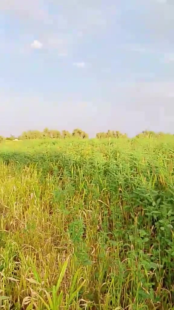 ‏السلام عليكم
‏ يوجد ضمان اذره وأصبينه
‏ 3دوانم 
‏العنوان الرشايد الفرع السابع 
‏رقم هاتف ‪***********‬
