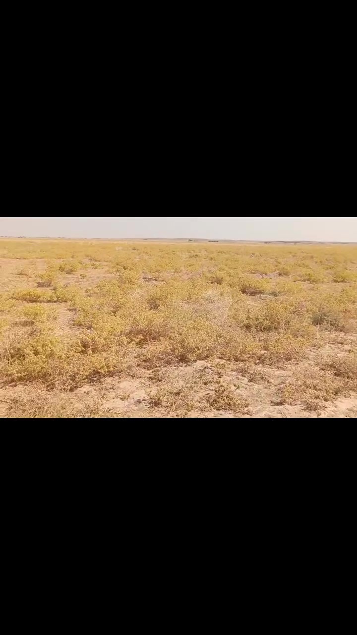 السلام عليكم توجد قطعه ارض للبيع مساحه 3 دونم الموقع عويجيله مال سكن موبعيد ماء كهرباء عنها هاتف ***********
